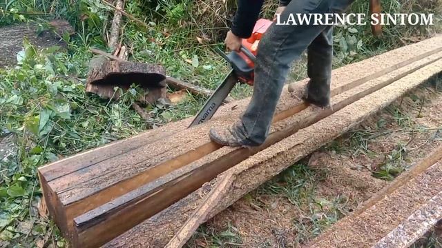 Husqvarna 365 cara ambil saiz yang bengkok..orang sabah style смотреть онлайн