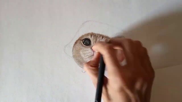 Drawing Meow Cash смотреть онлайн