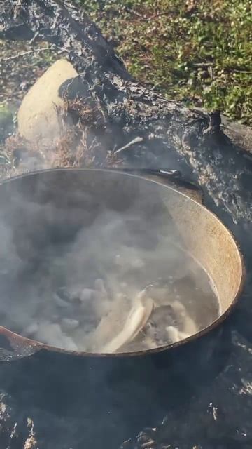 Уха из хариуса . Приготовление бульона #еданакостре #леснаякухня #природа #урал смотреть онлайн