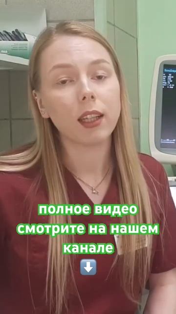 Ультразвуковое исследование в ветеринарной медицине смотреть онлайн