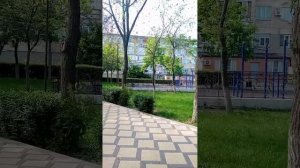 Идём смотреть зоомагазин попугаев! 1 часть