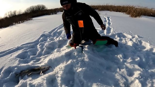 ТУТ РЫБЫ БОЛЬШЕ ЧЕМ ВОДЫ! ПОПАЛ на ЩУЧЬЮ ТРОПУ! ЩУКИ гуляют под ЭТОЙ ЛУНКОЙ. Рыбалка на ЖЕРЛИЦЫ 2022 смотреть онлайн