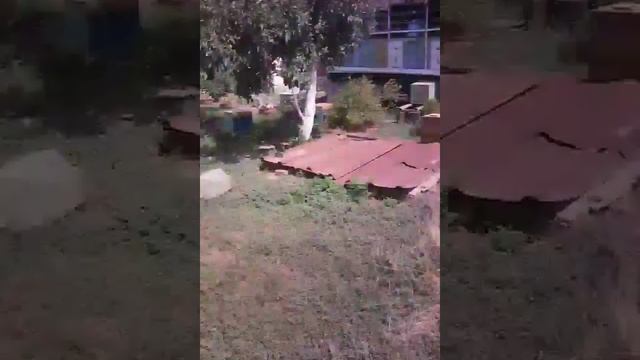 Челендж не пить воду 24часа я смогла это "COFIJA NAC смотреть онлайн