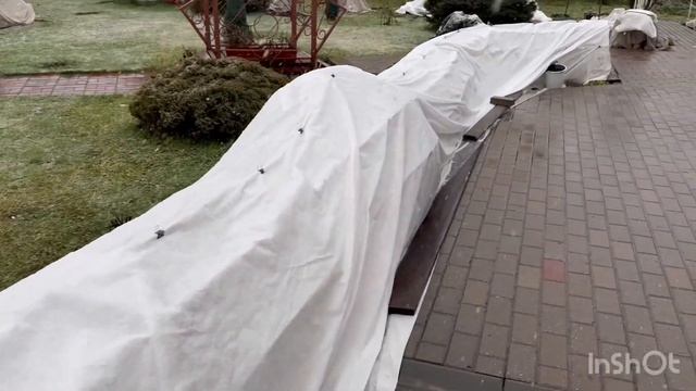 🍂ПОСЛЕДНИЕ САДОВЫЕ РАБОТЫ🔥УКРЫЛА РОЗЫ🌹ХВОЙНЫЕ 🌲В ЗИМУ❄️ЗАКРЫВАЮ СЕЗОН🤩НОВЫЕ ПОКУПКИ ДЛЯ СЕБЯ🛍️РЕМОН смотреть онлайн