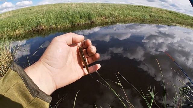 Поплавочная рыбалка. Ловля плотвы на поплавочную удочку. Ловля щуки на спинннг. Рыбалка для души. смотреть онлайн