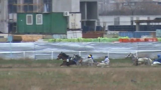 3/6 Бега - 11 Март 2023. Крушение Кузьменко. Одесский Ипподром смотреть онлайн