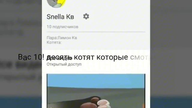 Вас 10!!!!! Спасибо вам!! смотреть онлайн