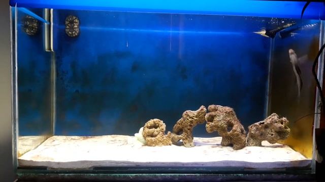 Marine Aquarium смотреть онлайн