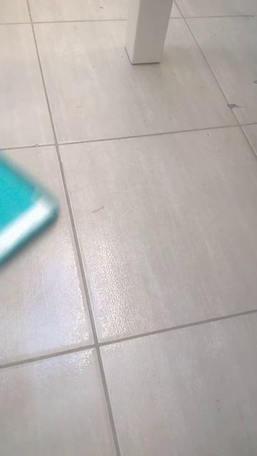 Titan Twist Mop смотреть онлайн