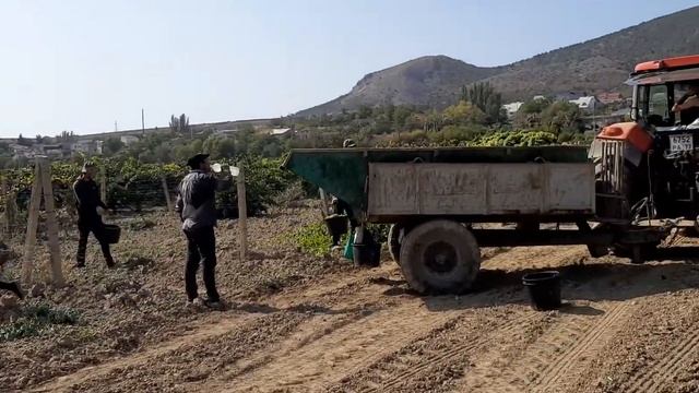 Сбор урожая-3 смотреть онлайн