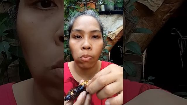 Eat smoke fish with brunt rice #yummy #smoke #fish #shorts #mybloopers смотреть онлайн