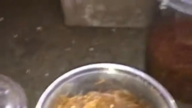 Haplopelma Longipes ( Vietnam Earth Tiger ) Rehouse смотреть онлайн