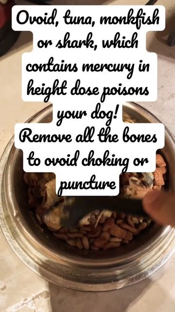 How to keep your dog healthy! #dog #animals #shorts #pets #dogfood смотреть онлайн