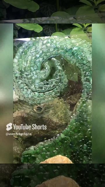 02-02-2025 волна из стеклышек