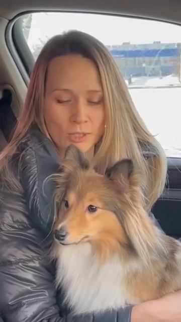 Прием у ветеринарного врача смотреть онлайн