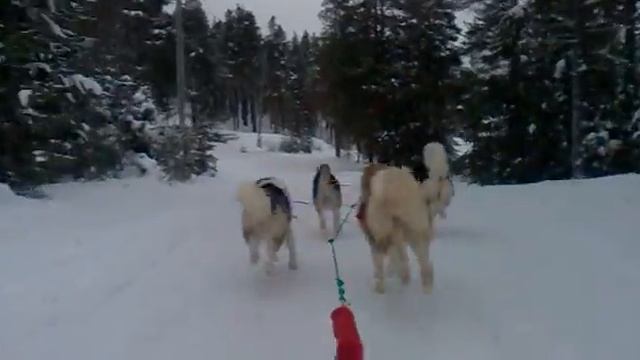 Тренировка, начало, часть 1. смотреть онлайн