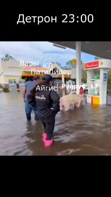 😁 Типичный Воскресный Детрон #lineage2 #ruoff #л2 #l2 #руфус #pyqpyc