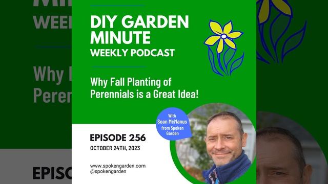 Why Fall Planting of Perennials is a Great Idea - DIY Garden Minute смотреть онлайн