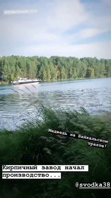 Встретил медведя😱 смотреть онлайн