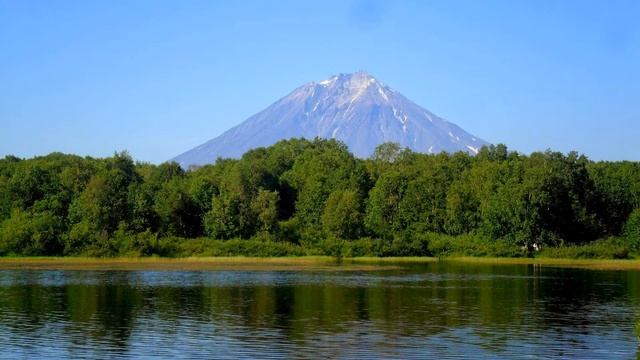 Реклама смотреть онлайн