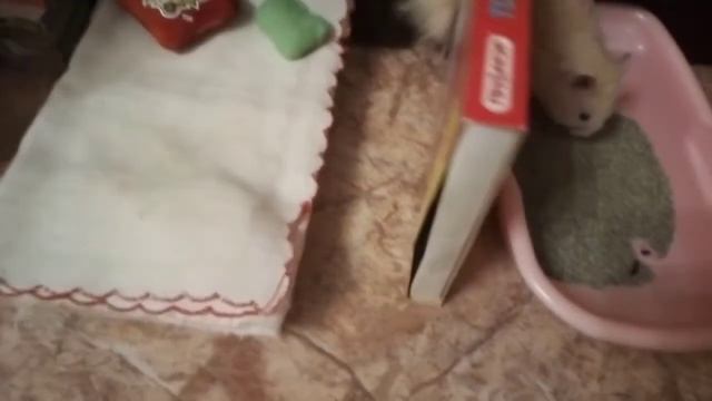 Хомячок в дисней ленде! Квартира хомяка/🐹ХОМО ШОУ🐹/ смотреть онлайн