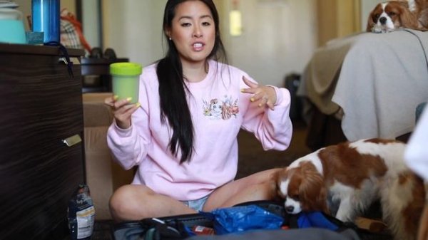 WHAT TO PACK WHEN TRAVELING WITH DOGS: EXTREME HEAT EDITION