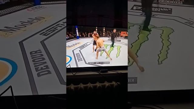 UFC 245 смотреть онлайн