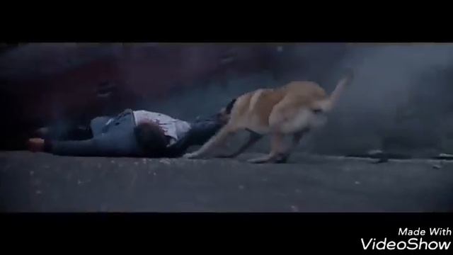 Собачья верность смотреть онлайн