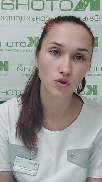 гипогликемия у кошек смотреть онлайн