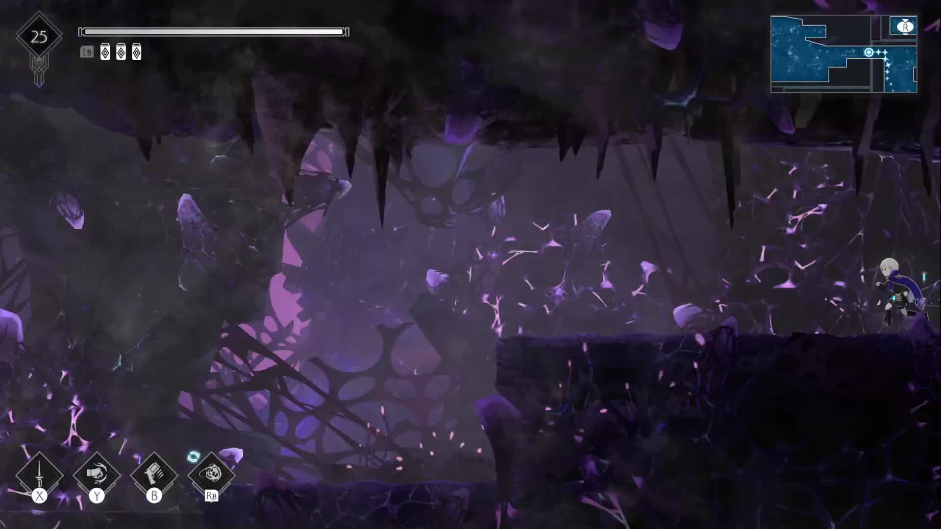 ENDER MAGNOLIA Bloom In The Mist