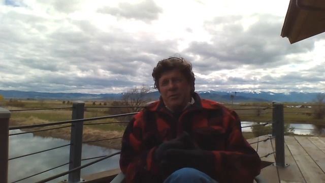 Denver Holt - Owl Research Institute - Live Chat смотреть онлайн