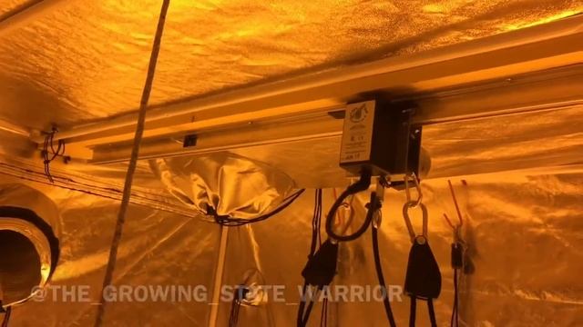 Light rail 3.5 + 1000 watt HPS смотреть онлайн