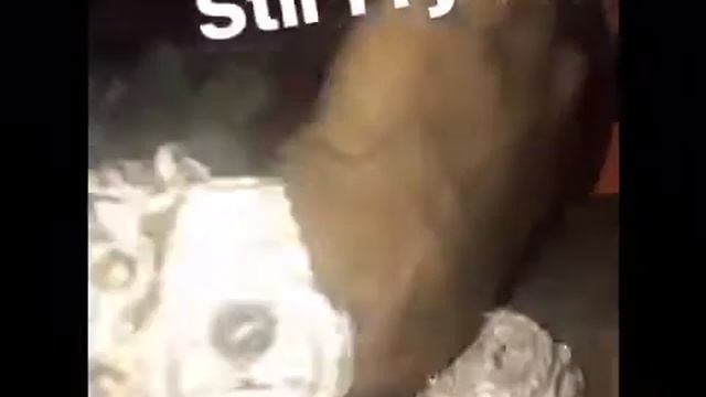 Migos Offset and CARDI B Flexin in STRIP CLUB with TONS of CASH смотреть онлайн