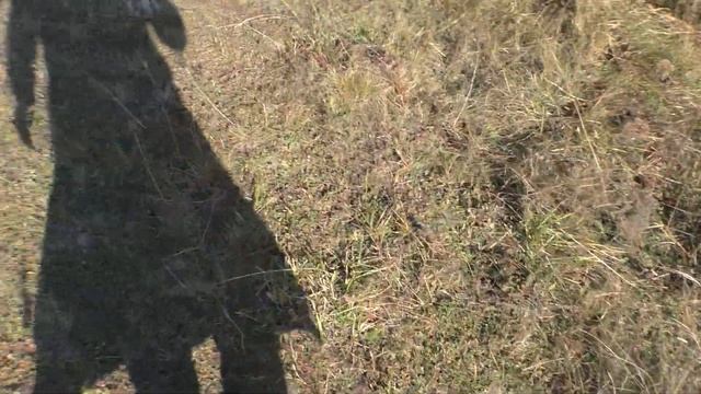 КАКУЮ ТАЙНУ СКРЫВАЕТ НАШЕ СЕЛО? смотреть онлайн