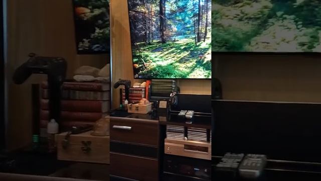 Piega p5 mk2 vs Denon avc-A1SR смотреть онлайн