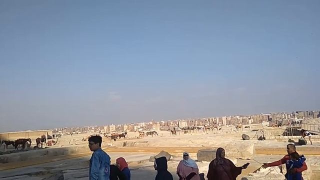 Неделю не пить смотреть онлайн