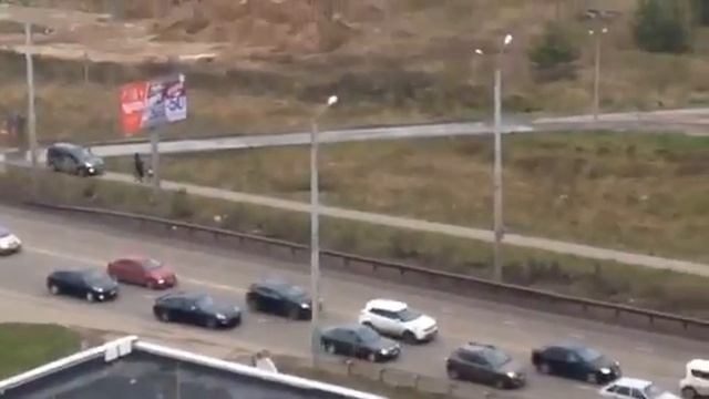 Крадется, скотина смотреть онлайн