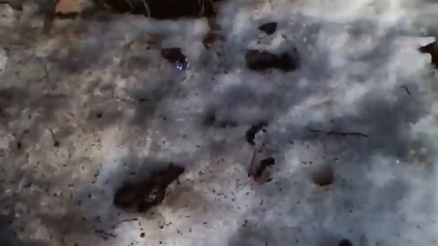 gowno czyli przebisniegi warszawskie.mp4 смотреть онлайн