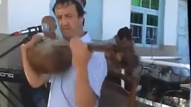 Дустларинг айтганда йор йор