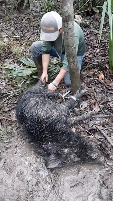 Little castrating going on смотреть онлайн