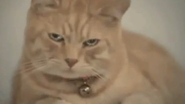 Мило смотреть онлайн