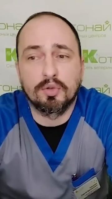 Экстракардиальные расстройства у кошек с кардиопаталогией🐈 смотреть онлайн