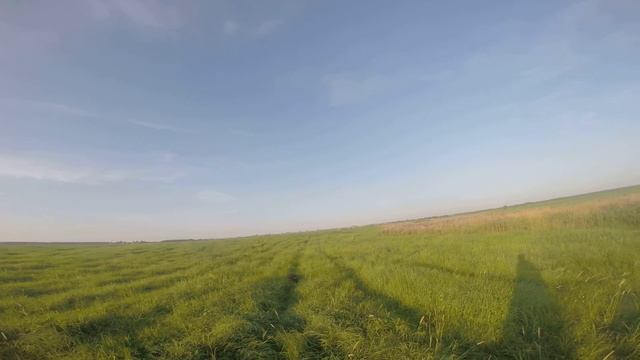 добытый бекас1 смотреть онлайн