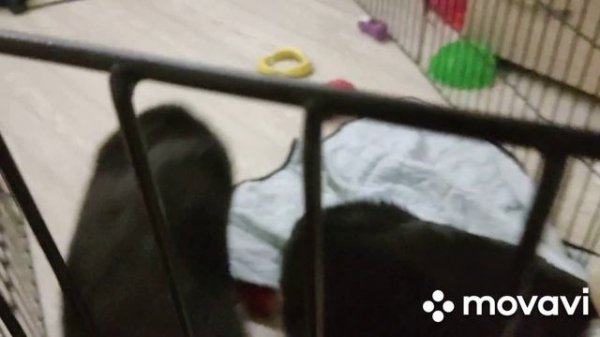 ZEVS и ZVEZDA!!! спортсмены...