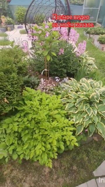 Обзор малого миксбордера.