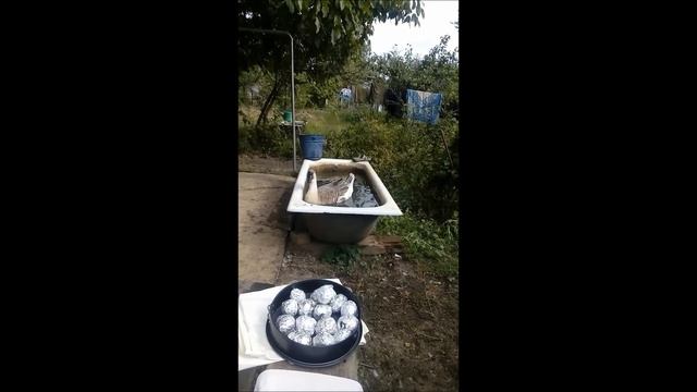 Гуси в ванной смотреть онлайн