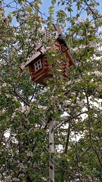 Весна!☀ Скворечники-избушки! 🏘 Мастерская Звезда Уссури 🕊 г.Краснодар смотреть онлайн