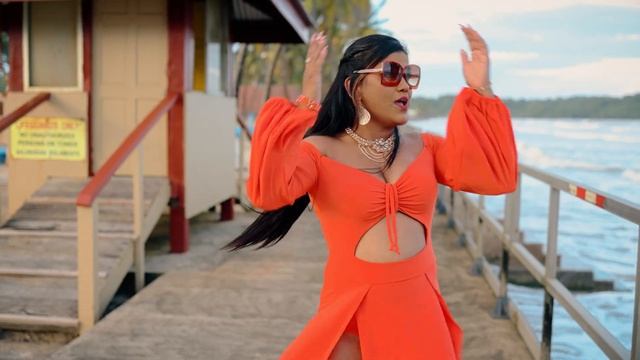 Nisha Ramsook - Drunk Or Sober Mind Yuh Business [Official Music Video] (2023 Chutney Soca) смотреть онлайн