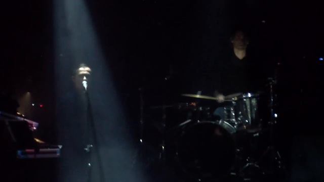 Дельфин (Dolphin) - Листья