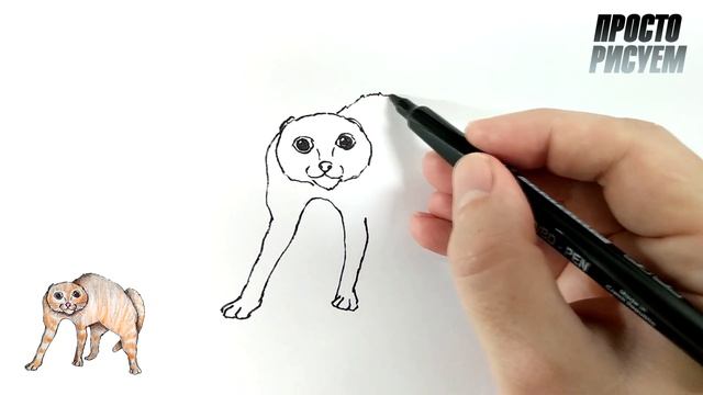 Как нарисовать испуганную кошку смотреть онлайн